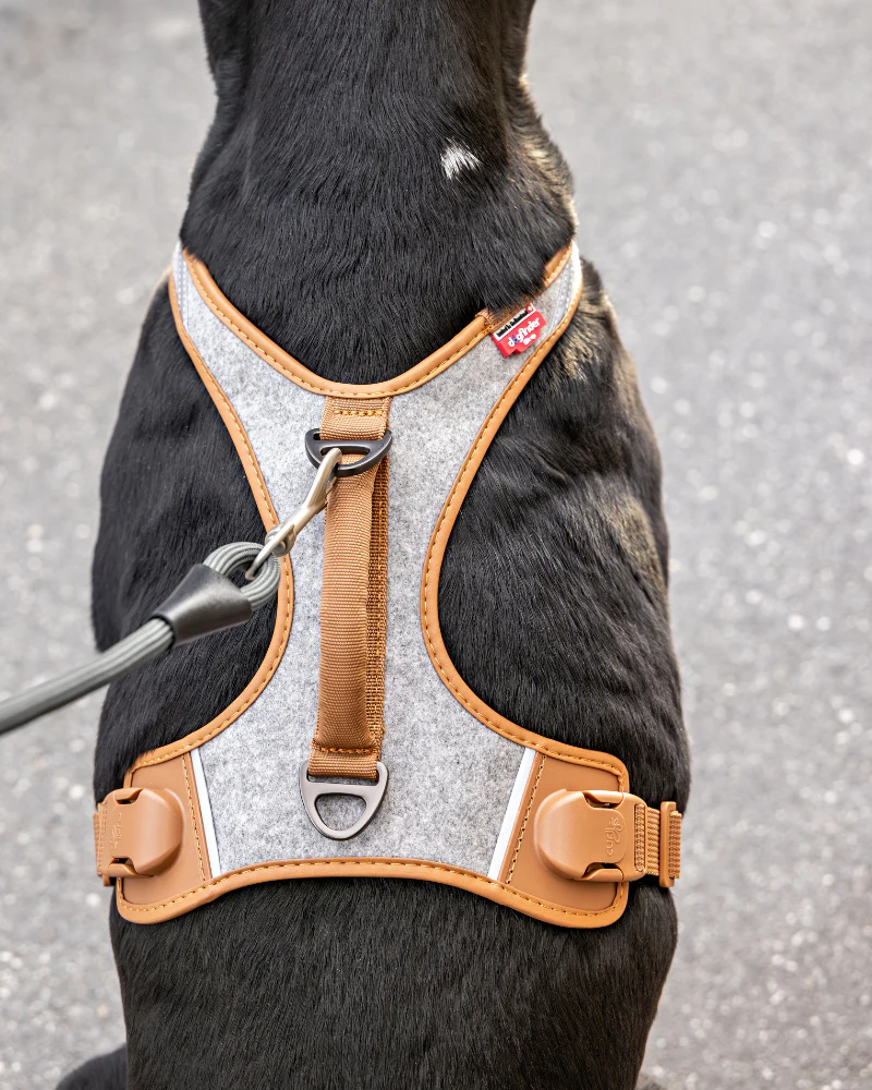 Alpine Belka Dog Harness (for Medium to Large Dogs) - Image 2