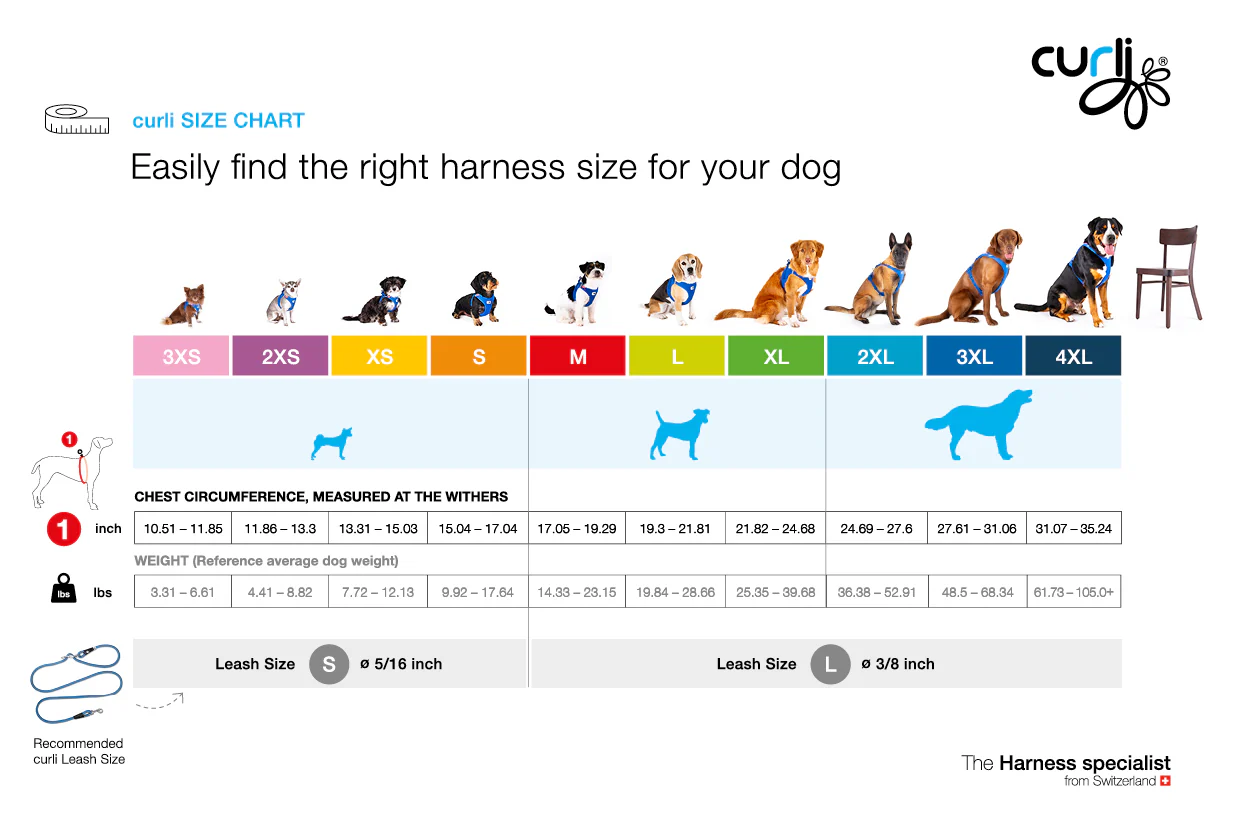 Alpine Belka Dog Harness (for Medium to Large Dogs) - Image 8