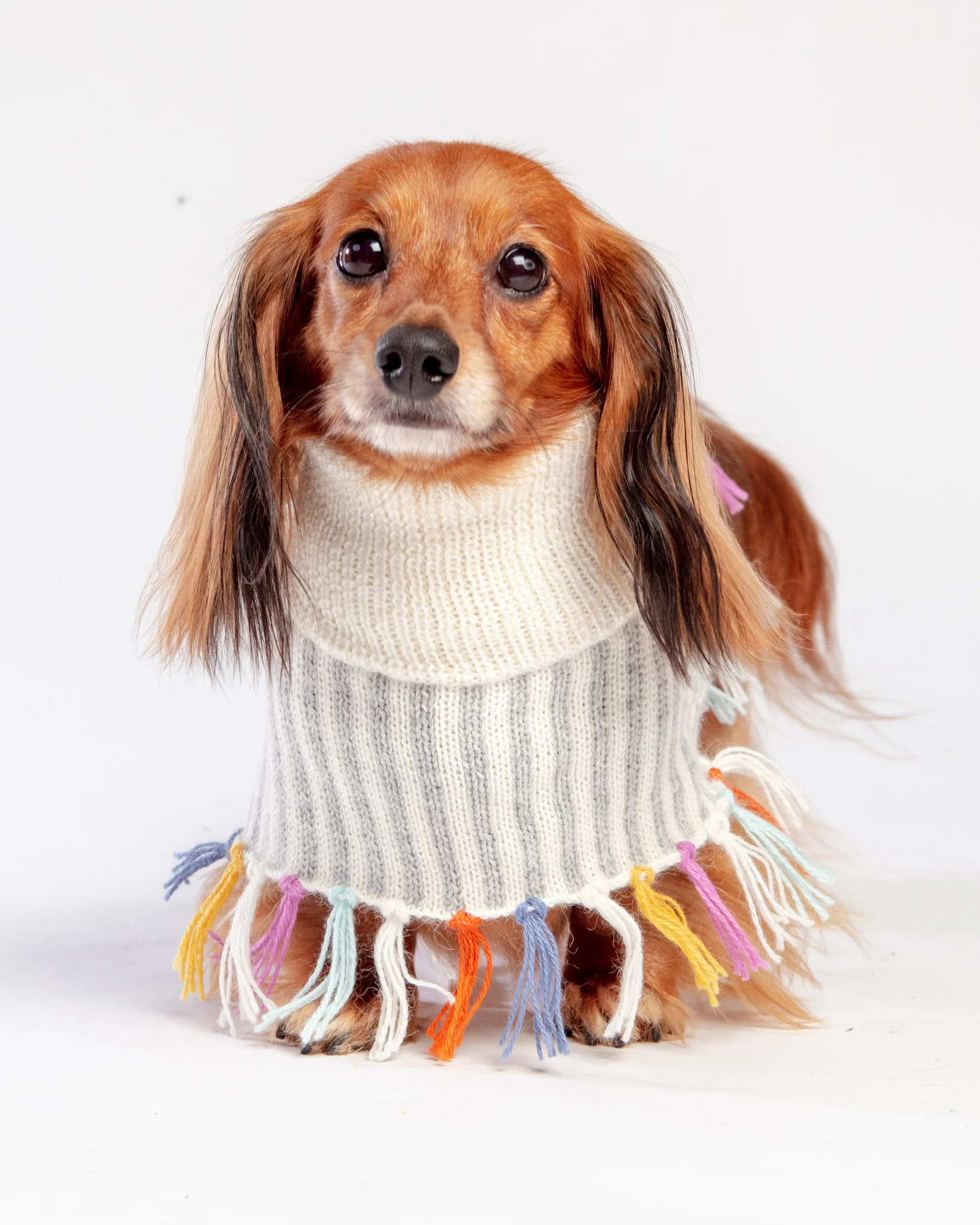 Rainbow Knit Alpaca Dog Poncho << FINAL SALE >> - Image 2