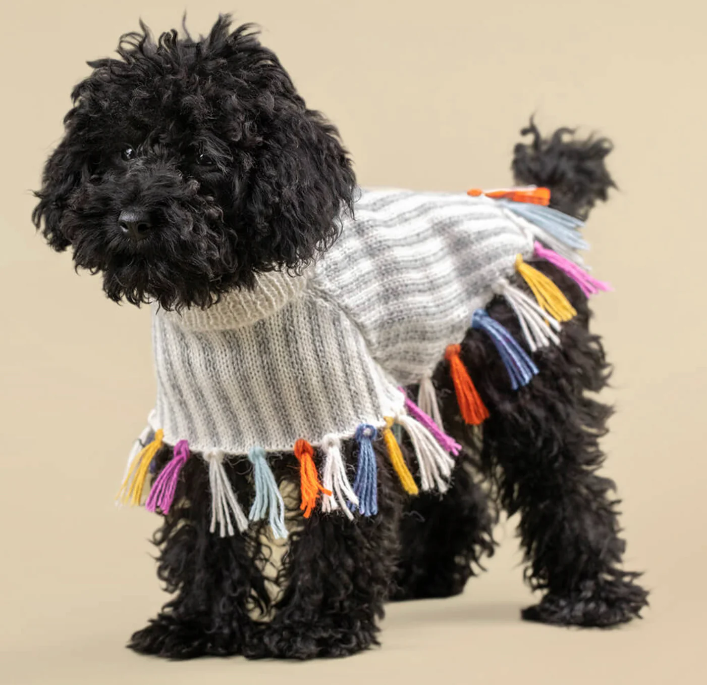 Rainbow Knit Alpaca Dog Poncho << FINAL SALE >> - Image 3