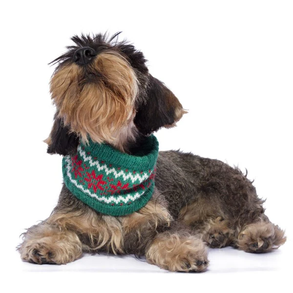 HOLIDAY 2018 - ALQO WASI | Snowflake Green Scarf - Image 2