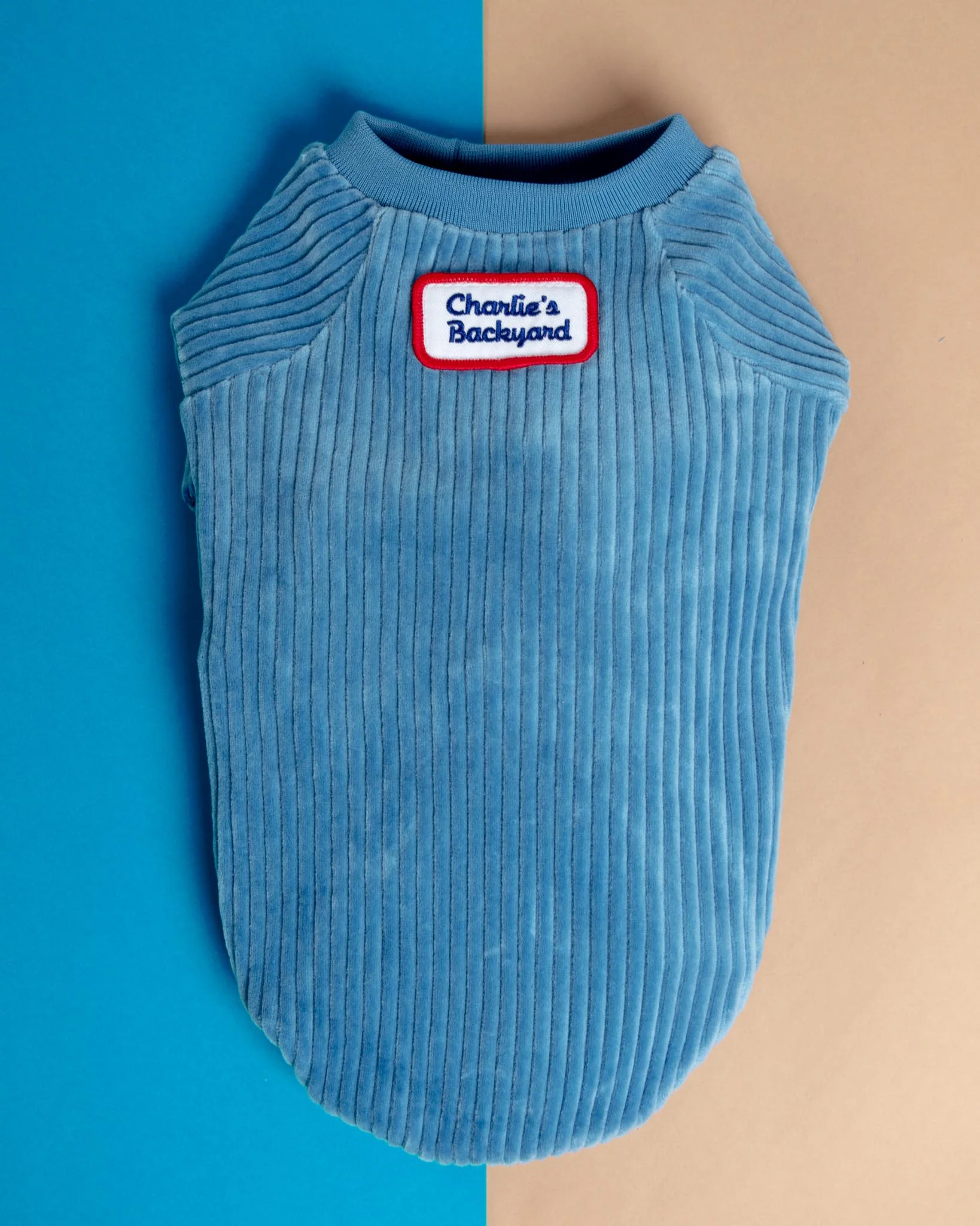 Amber Dog Tee in Sky Blue (FINAL SALE) - Image 2