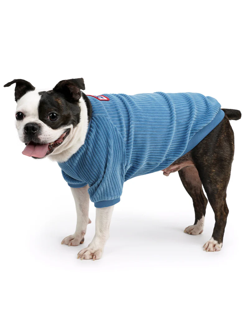Amber Dog Tee in Sky Blue (FINAL SALE) - Image 4