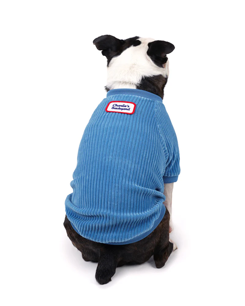 Amber Dog Tee in Sky Blue (FINAL SALE) - Image 5