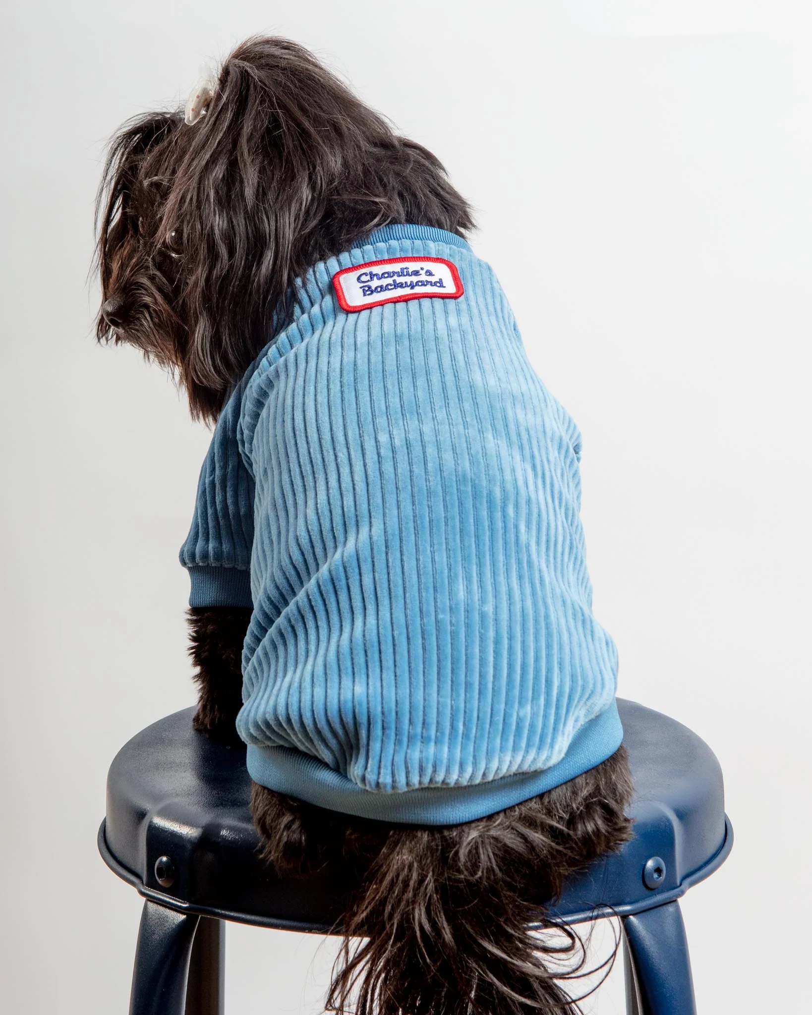 Amber Dog Tee in Sky Blue (FINAL SALE) - Image 6