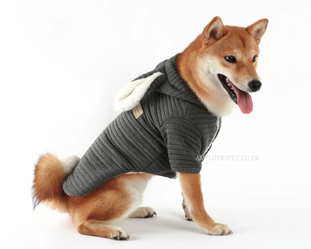 AMY LOVES PET | Bunny Hoodie in Grey - Image 10