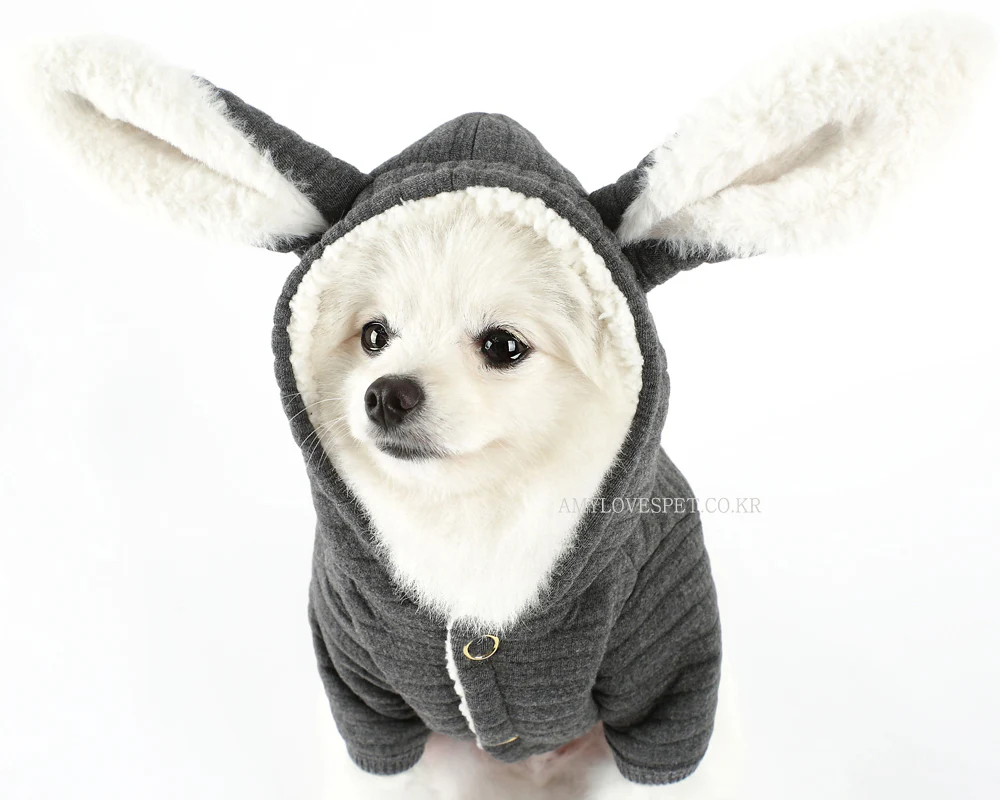AMY LOVES PET | Bunny Hoodie in Grey - Image 5
