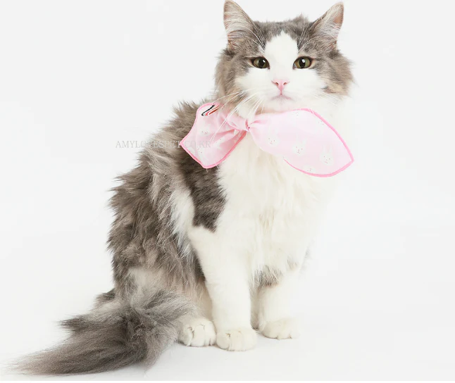 ALP | Bunny Scarf - Image 4