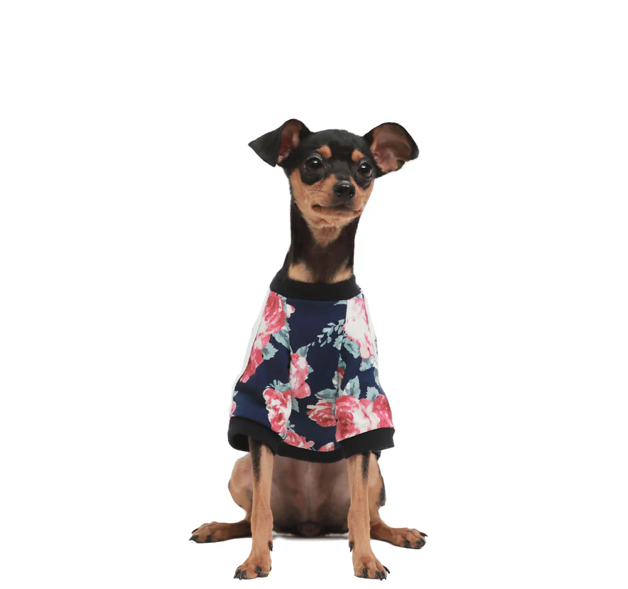 ALP | Floral Jersey T Shirt - Image 2