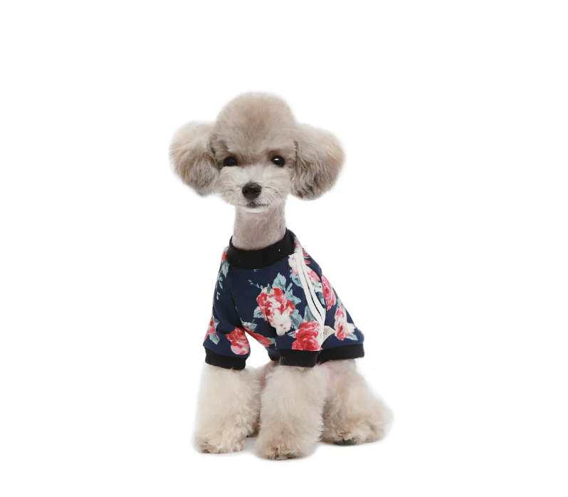 ALP | Floral Jersey T Shirt - Image 6