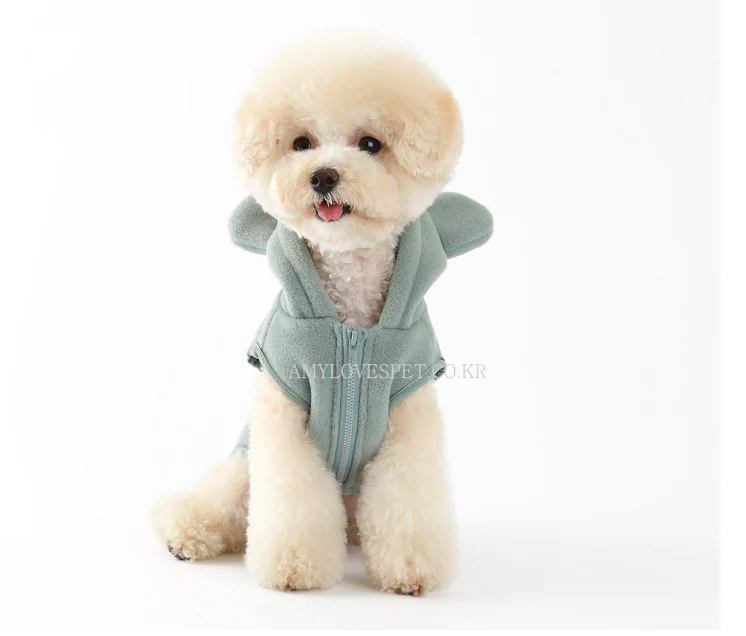 ALP | Joy Hoodie in Mint - Image 4