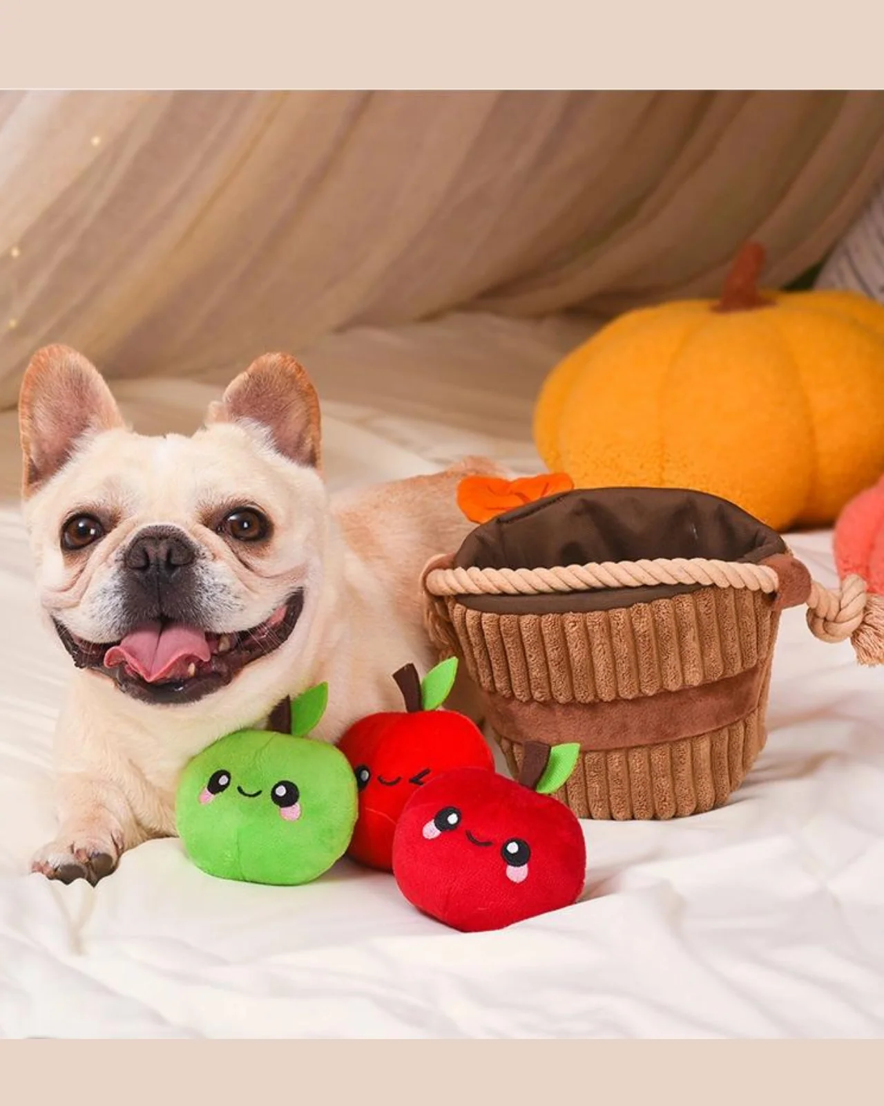 Apple Basket Squeaky Dog Toy - Image 3
