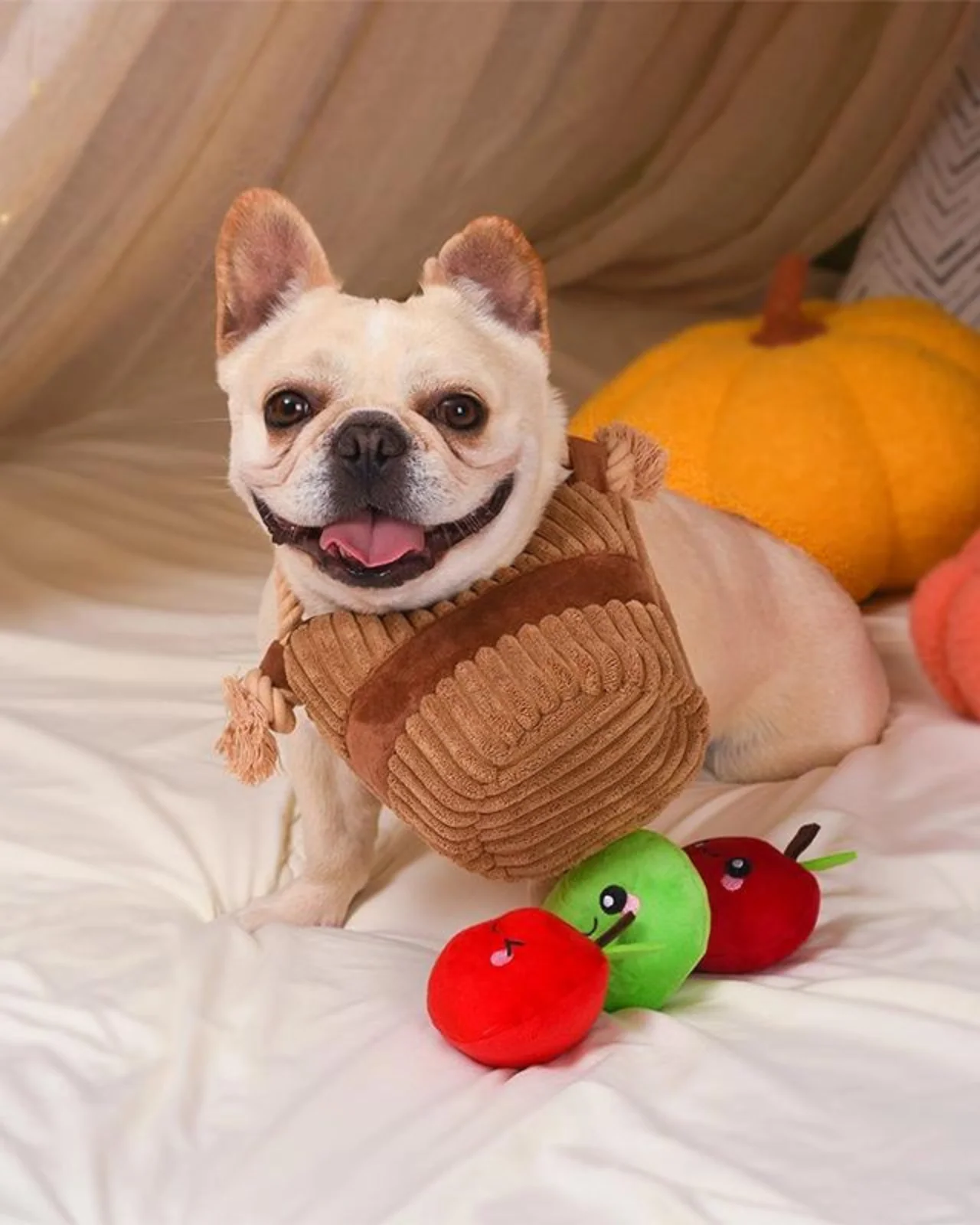 Apple Basket Squeaky Dog Toy - Image 6