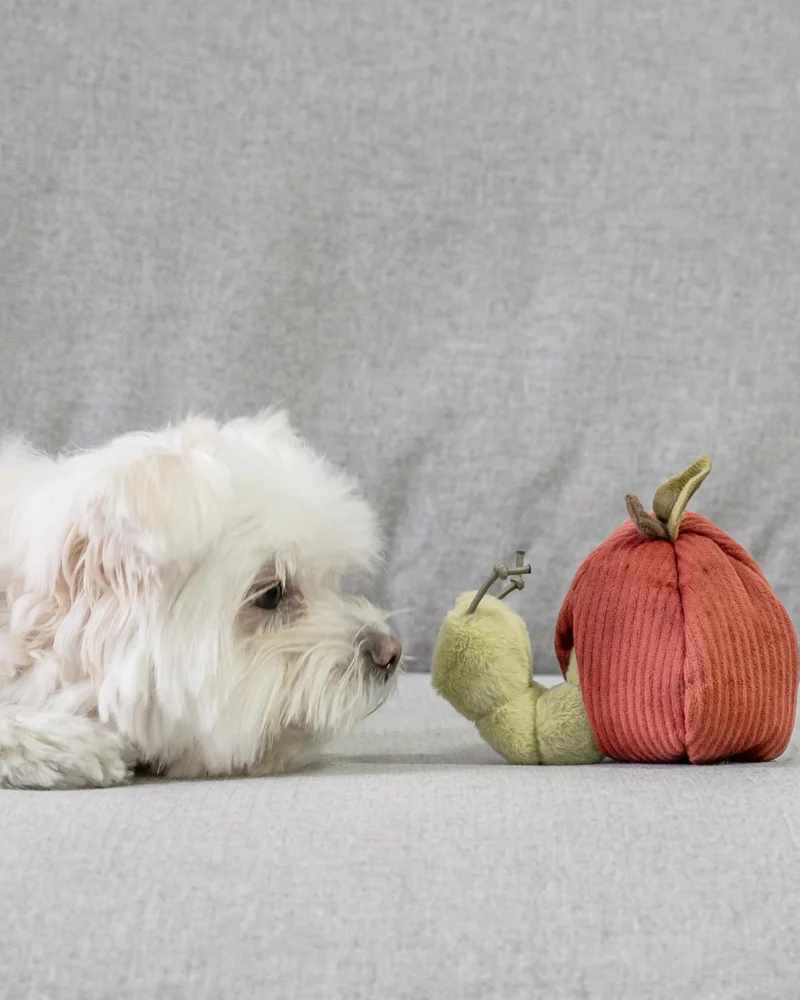 Apple Interactive Snuffle Dog Toy - Image 4