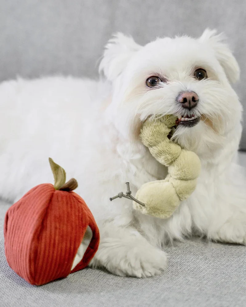Apple Interactive Snuffle Dog Toy - Image 8