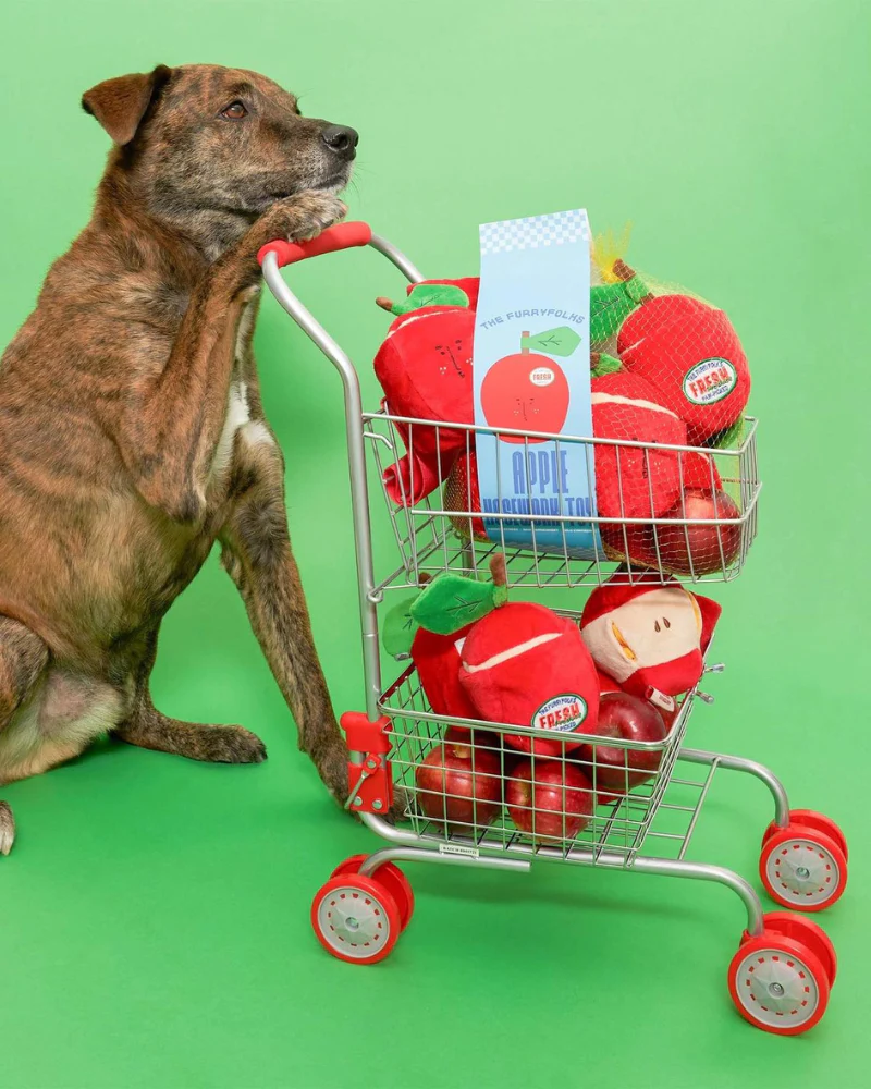 Apple Nosework Dog Toy - Image 10