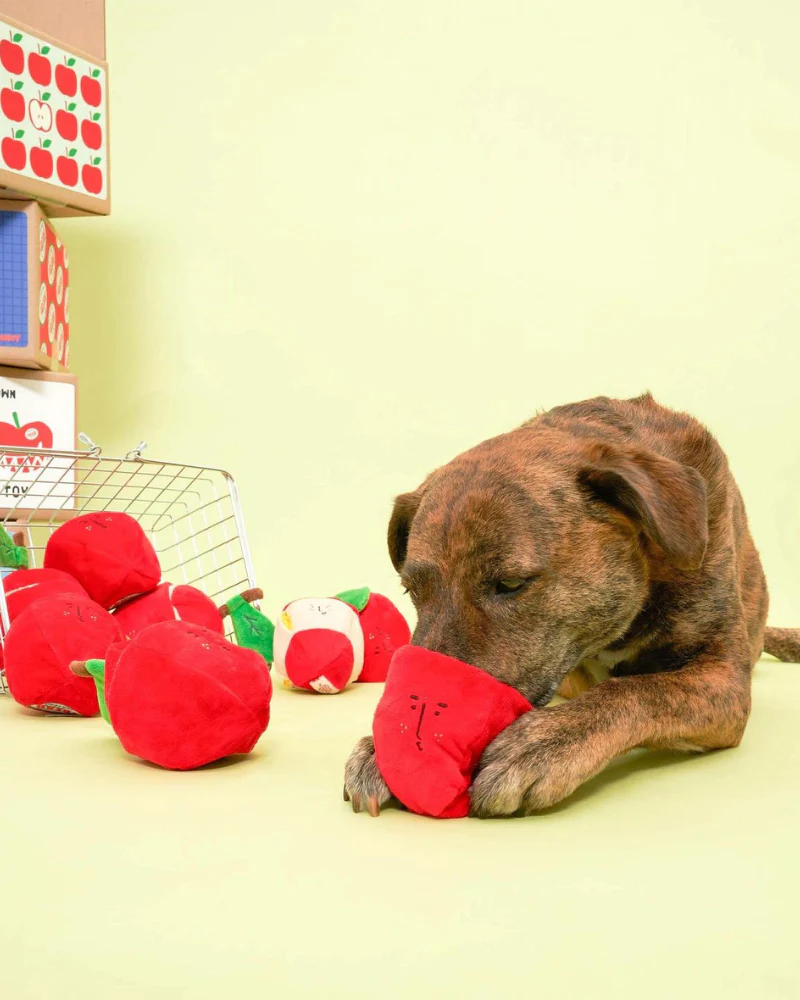 Apple Nosework Dog Toy - Image 12