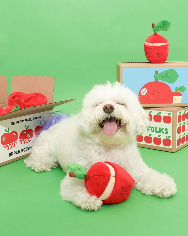 Apple Nosework Dog Toy - Image 13