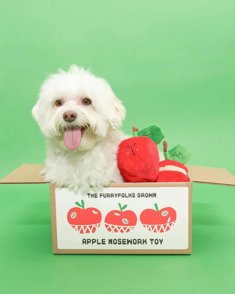 Apple Nosework Dog Toy - Image 14