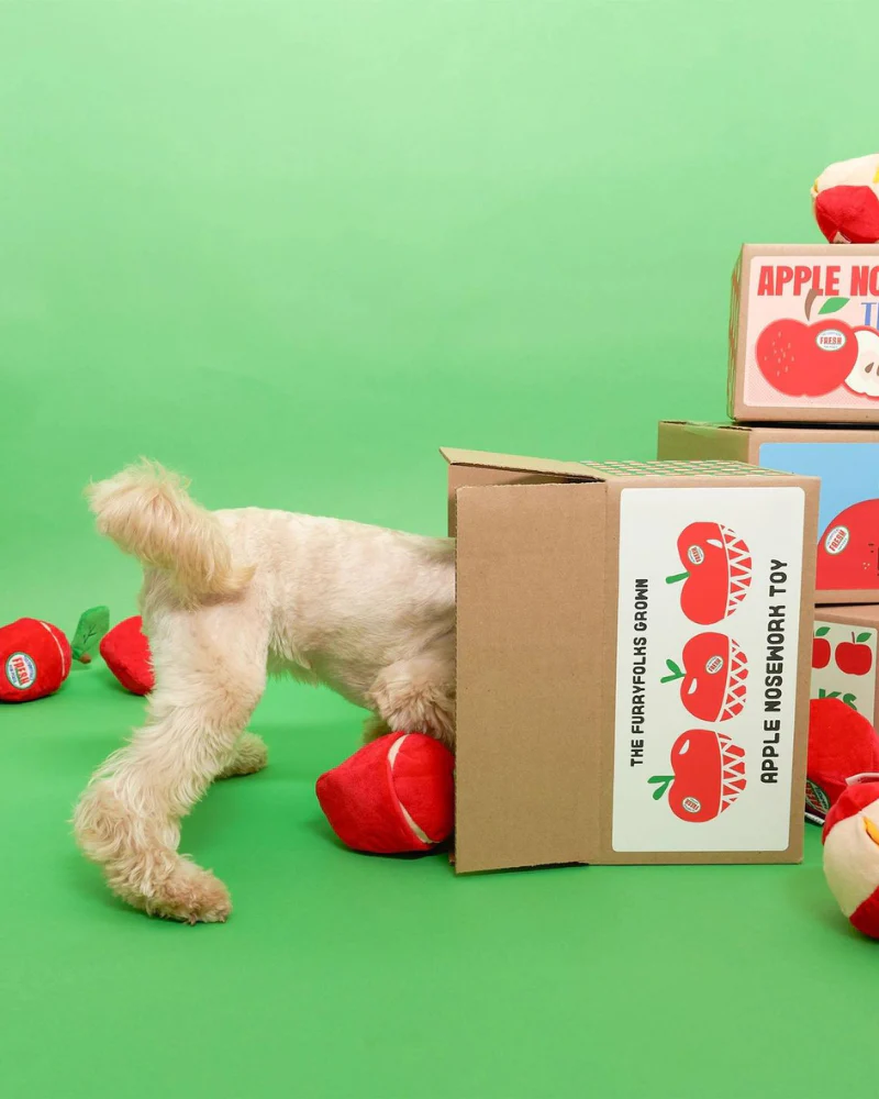 Apple Nosework Dog Toy - Image 5