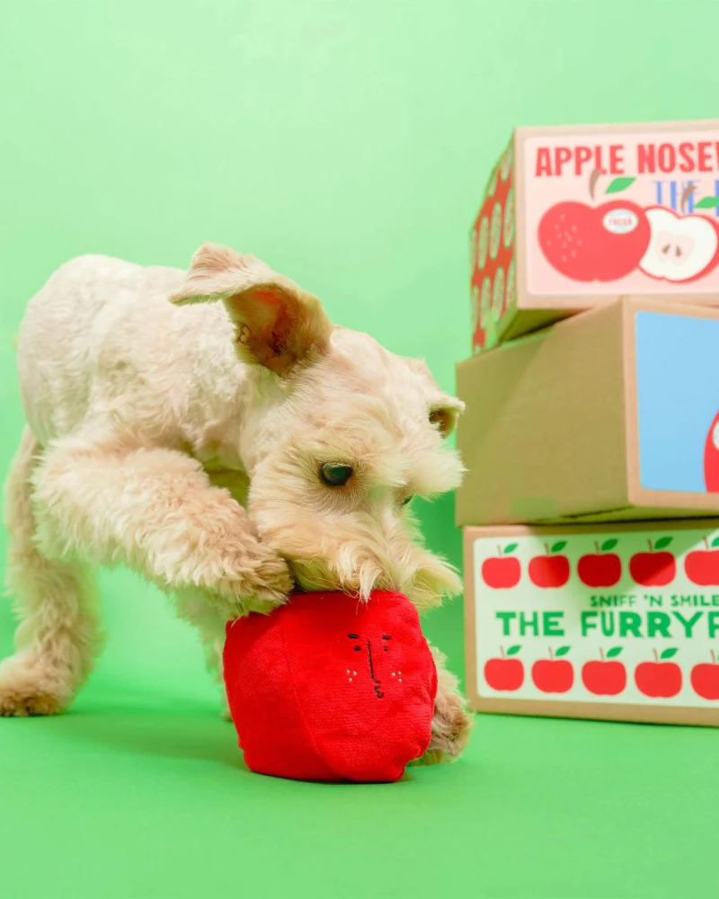 Apple Nosework Dog Toy - Image 6
