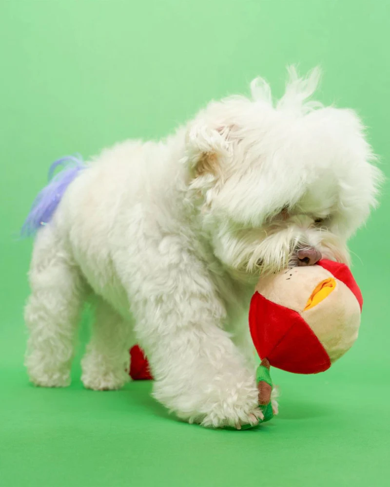 Apple Nosework Dog Toy - Image 8