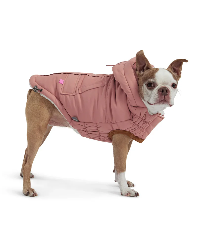 Arctic Dog Parka in Clay (FINAL SALE) - Image 3