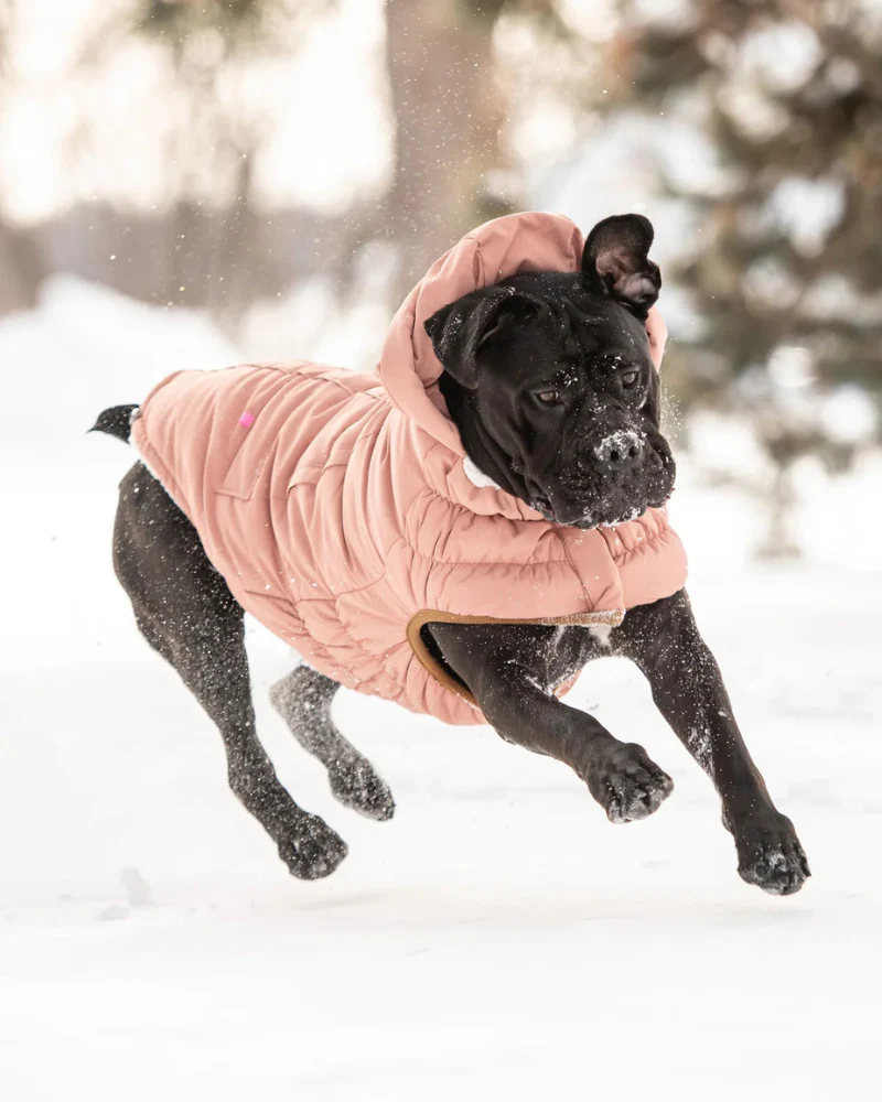 Arctic Dog Parka in Clay (FINAL SALE) - Image 5