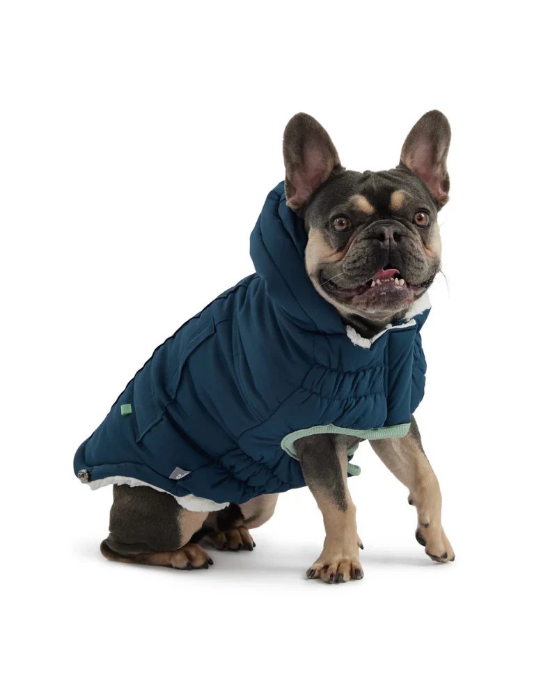 Arctic Dog Parka in Wintergreen (FINAL SALE) - Image 4