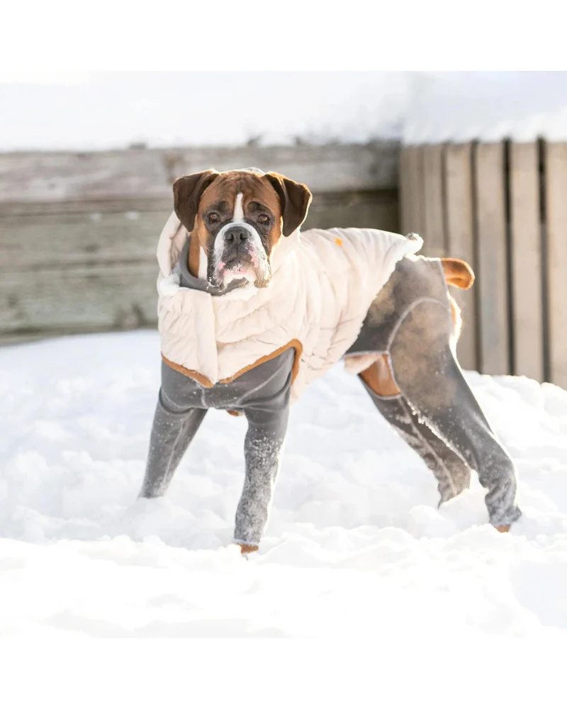 Arctic Dog Parka in Sand - Image 8