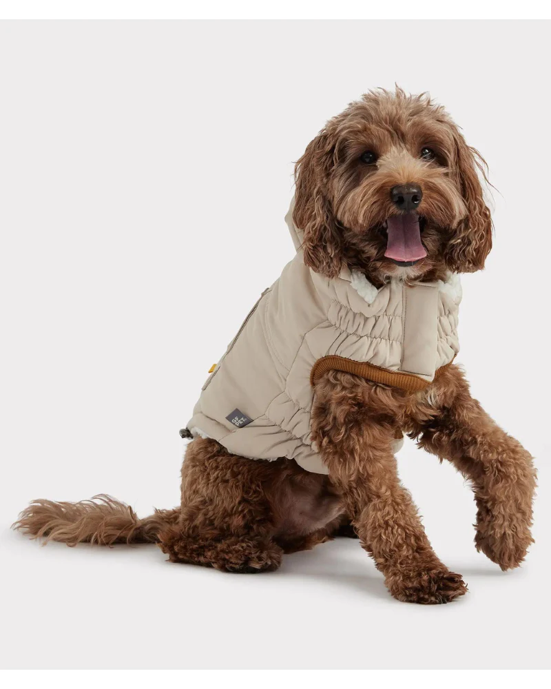 Arctic Dog Parka in Sand - Image 9