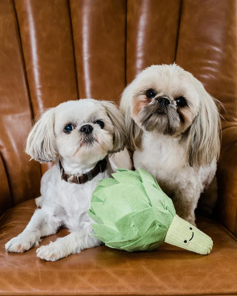 Artichoke Interactive & Snuffle Dog Toy - Image 5
