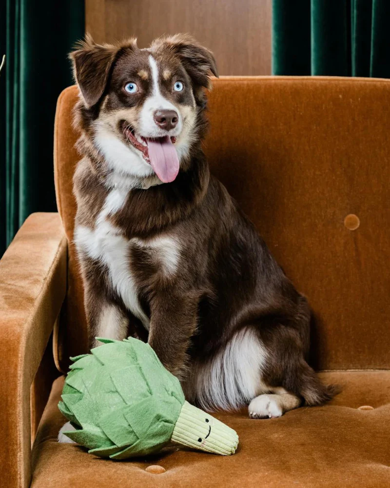 Artichoke Interactive & Snuffle Dog Toy - Image 6