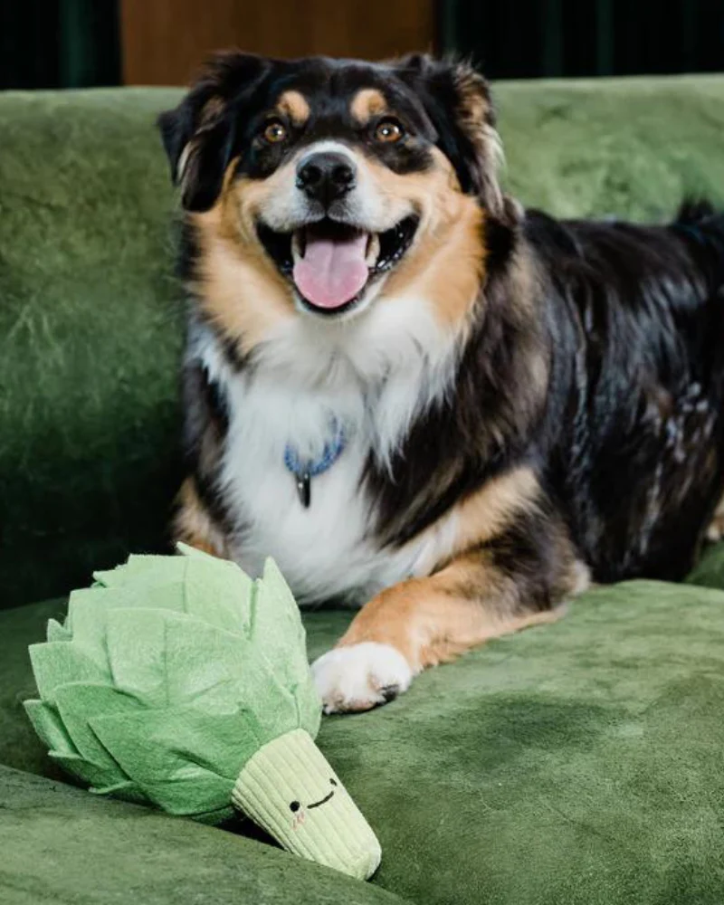 Artichoke Interactive & Snuffle Dog Toy - Image 7