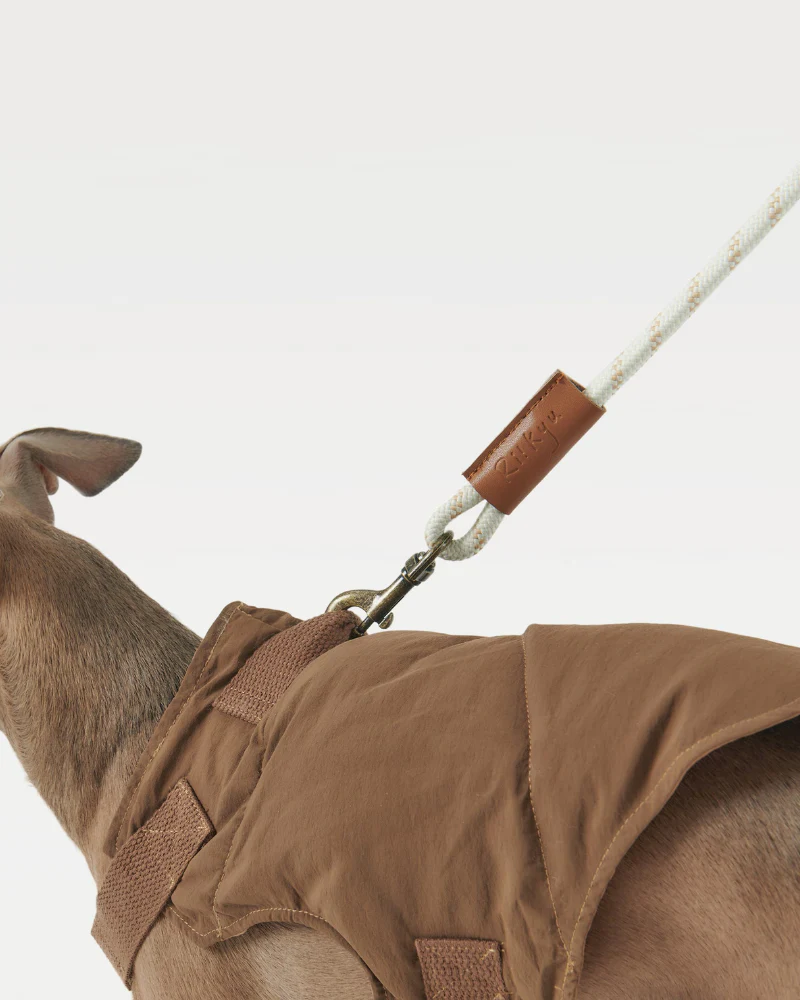 Ash Wood Handle Dog Leash - Image 4