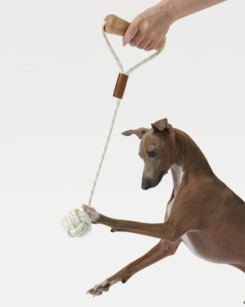 Ash Wood Handle + Rope Ball Dog Toy - Image 2