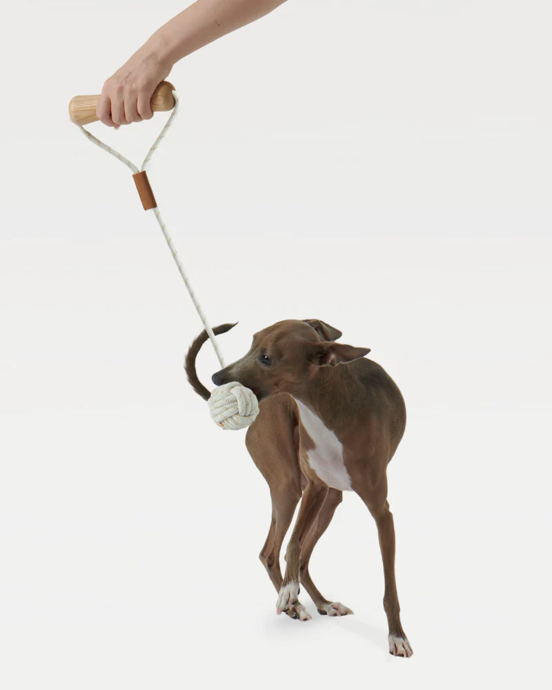 Ash Wood Handle + Rope Ball Dog Toy - Image 4