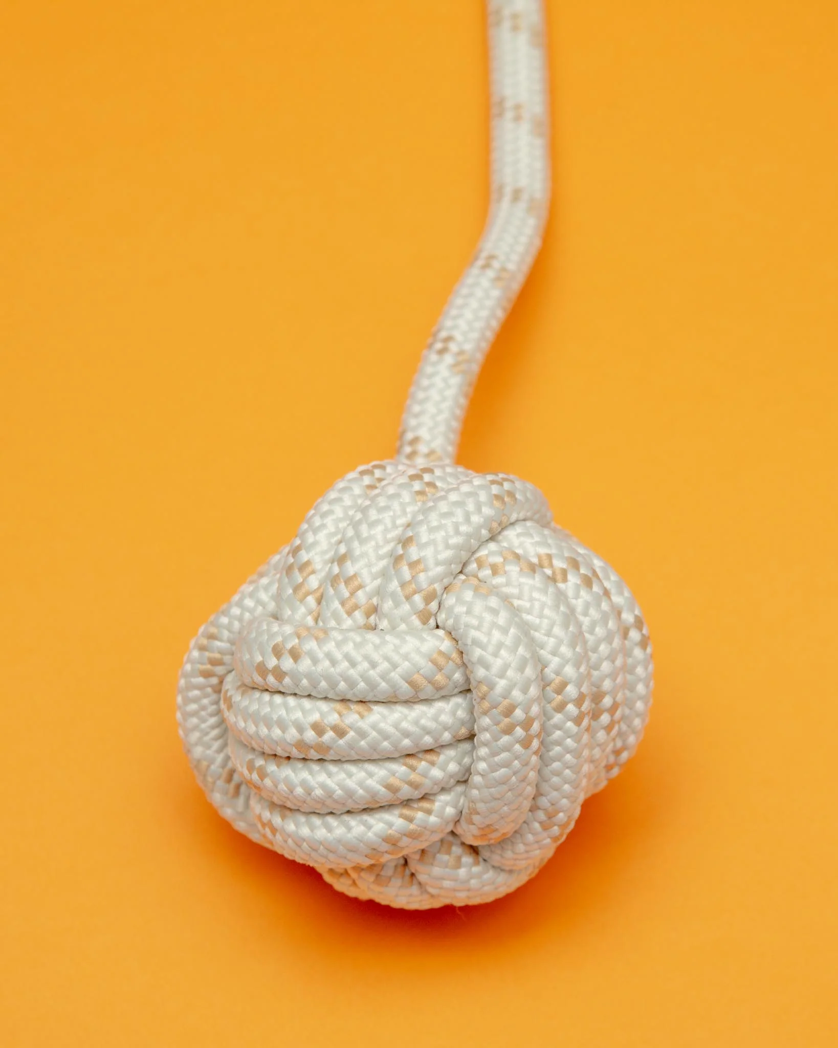 Ash Wood Handle + Rope Ball Dog Toy - Image 6