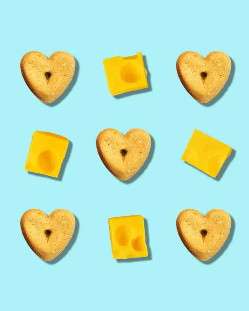 Cheeze Pleeze Dog Biscuit Bites - Image 2