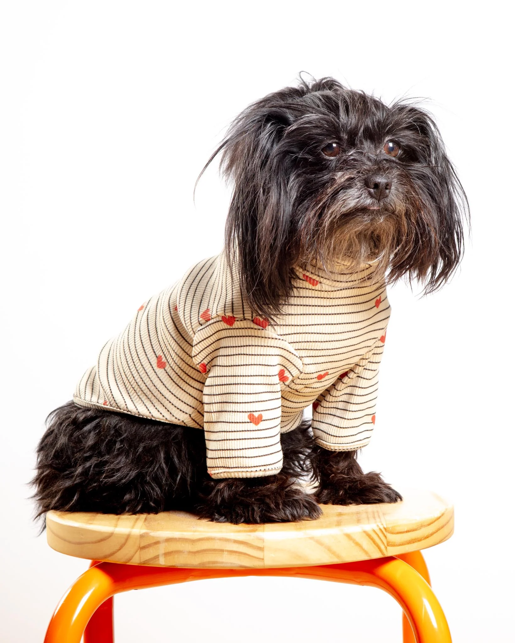 Aveline Striped Heart Dog Pullover