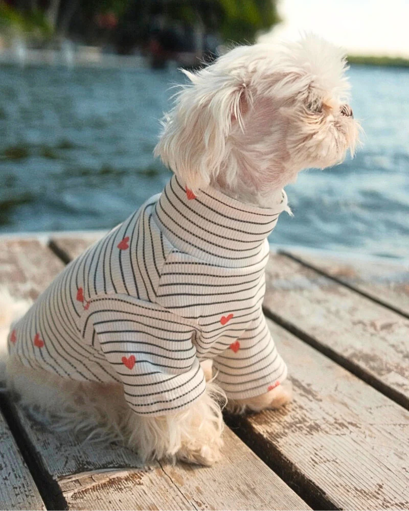 Aveline Striped Heart Dog Pullover - Image 11