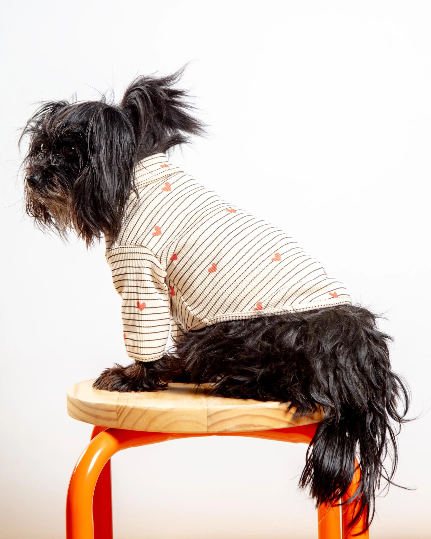 Aveline Striped Heart Dog Pullover - Image 5