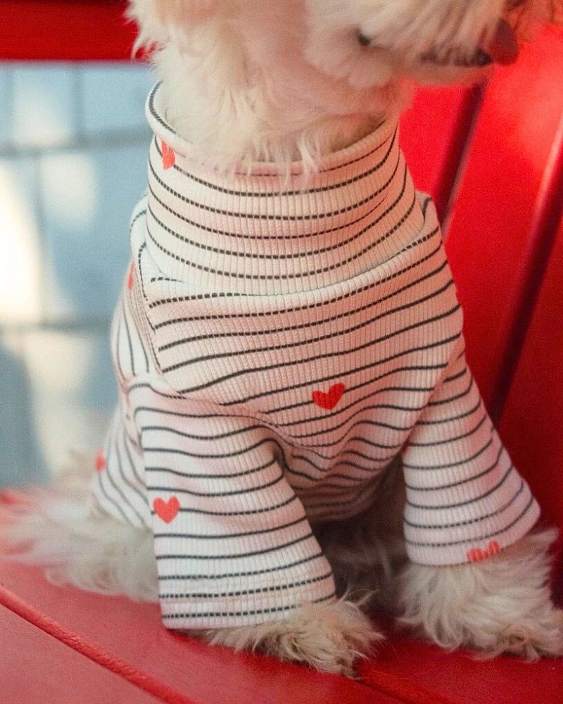 Aveline Striped Heart Dog Pullover - Image 6