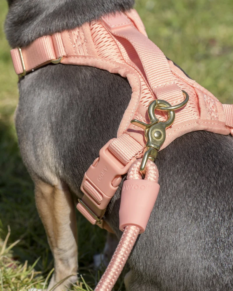 Huggie Dog Harness in Navy<br>(FINAL SALE) - Image 6