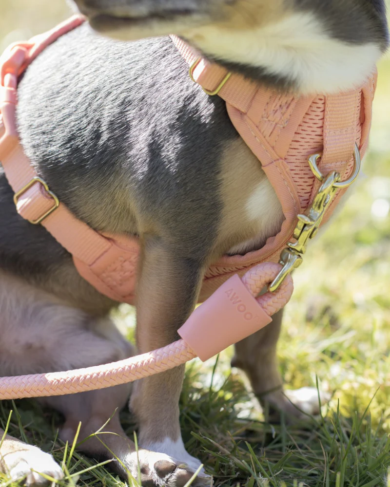 Huggie Dog Harness in Navy<br>(FINAL SALE) - Image 7