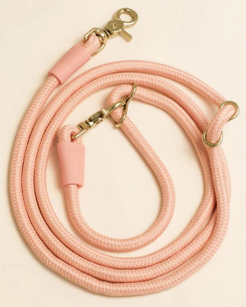 Infinity Dog Leash in Peach - Image 3