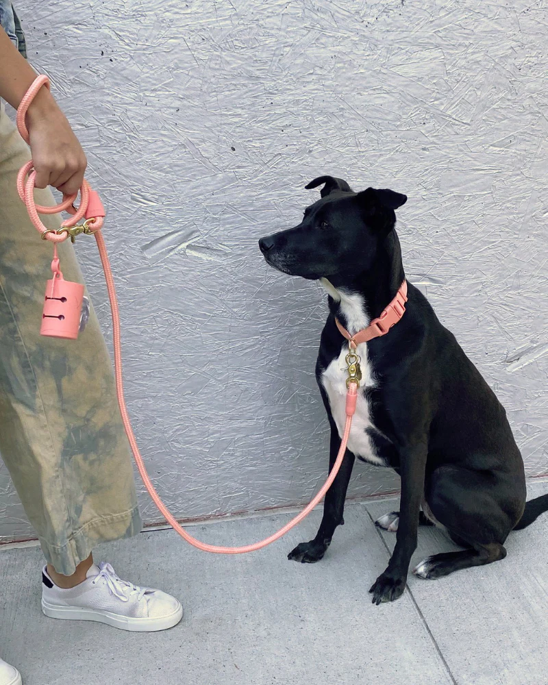 Infinity Dog Leash in Peach - Image 5