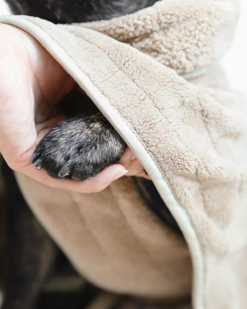 Baby Fleece Microfiber Dog Bathrobe - Image 4