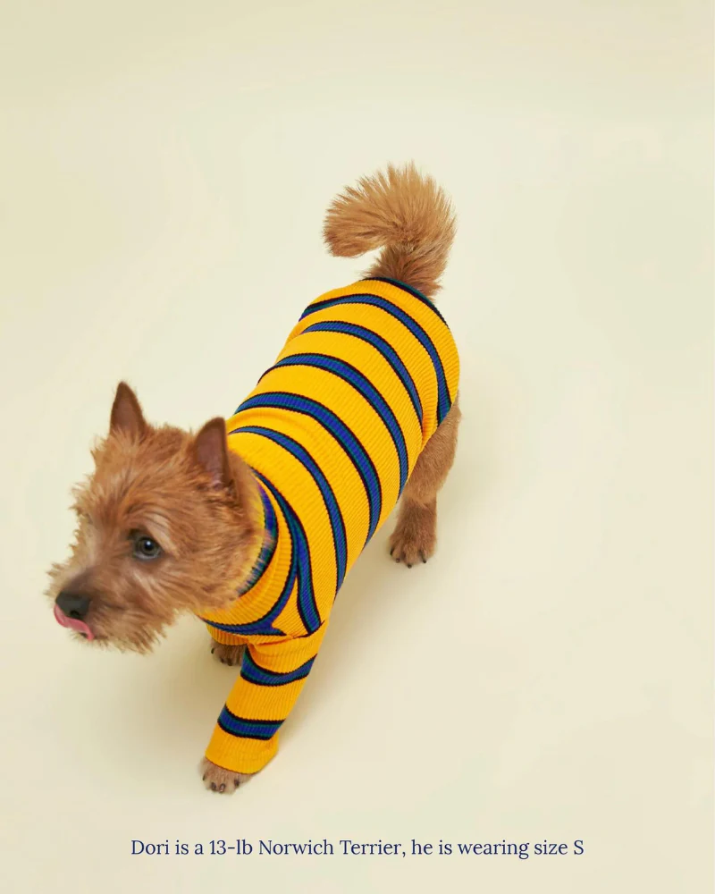 Back To School Ribbed Dog Pullover - Image 4