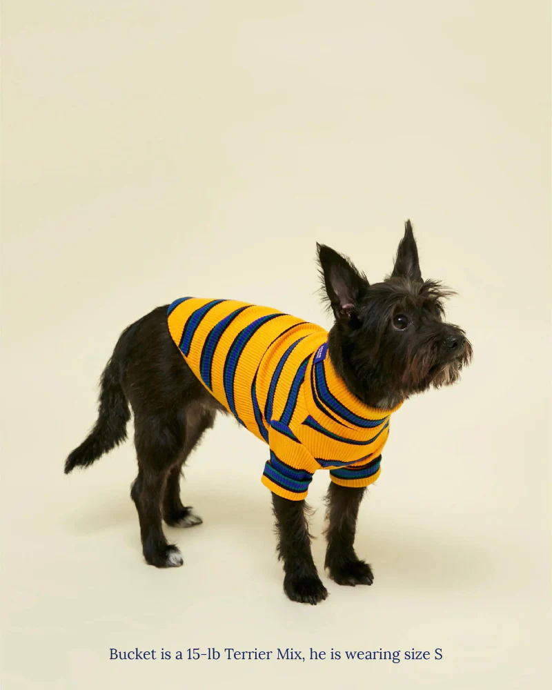 Back To School Ribbed Dog Pullover - Image 5
